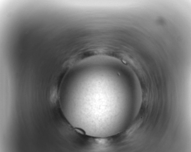 X0000089450478200706221250