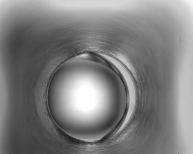 X0000089450481200706221250