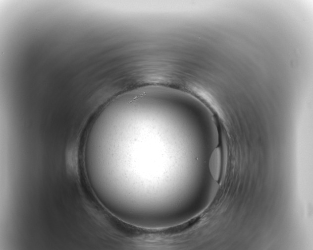 X0000089450482200706221250