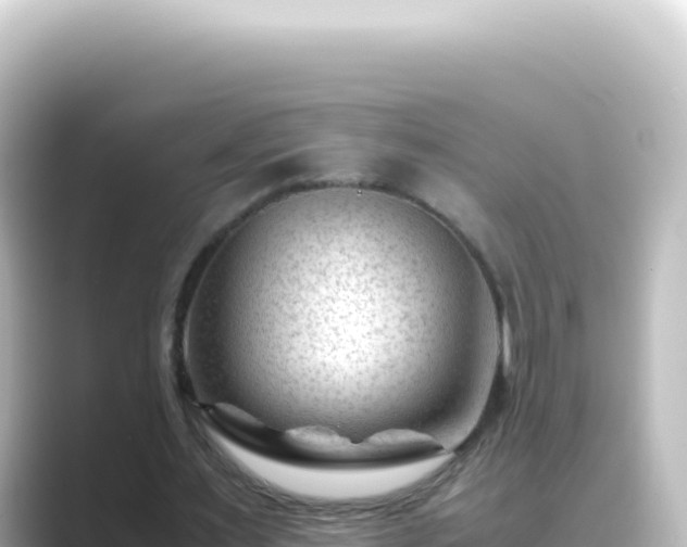 X0000089450483200706221250