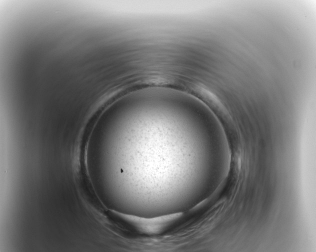 X0000089450484200706221250