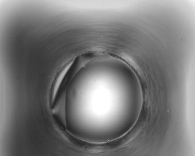 X0000089450485200706221250