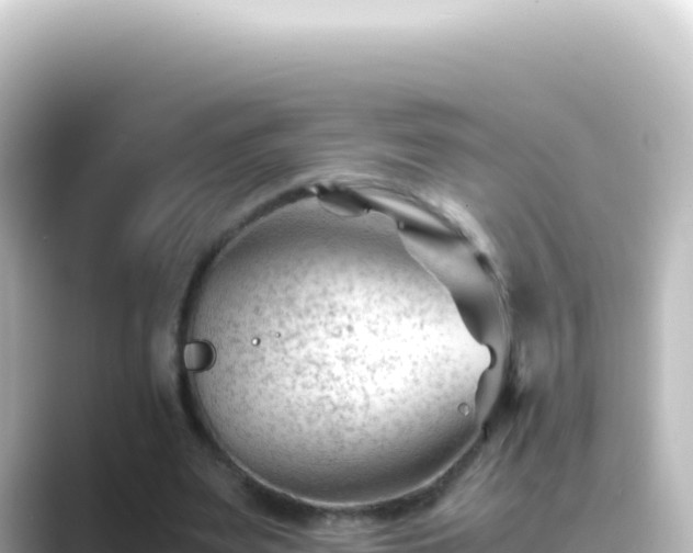 X0000089450487200706221250