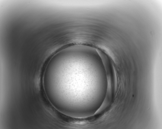 X0000089450488200706221250