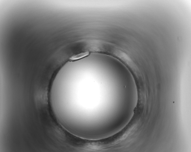 X0000089450489200706221250