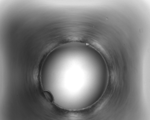 X0000089450490200706221250