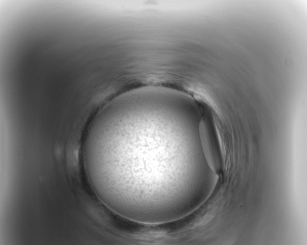 X0000089450491200706221250