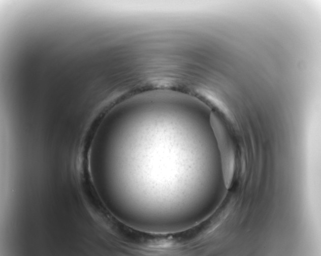 X0000089450492200706221250