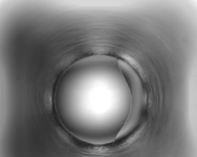 X0000089450493200706221250