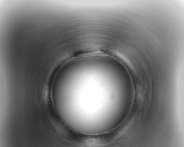 X0000089450494200706221250