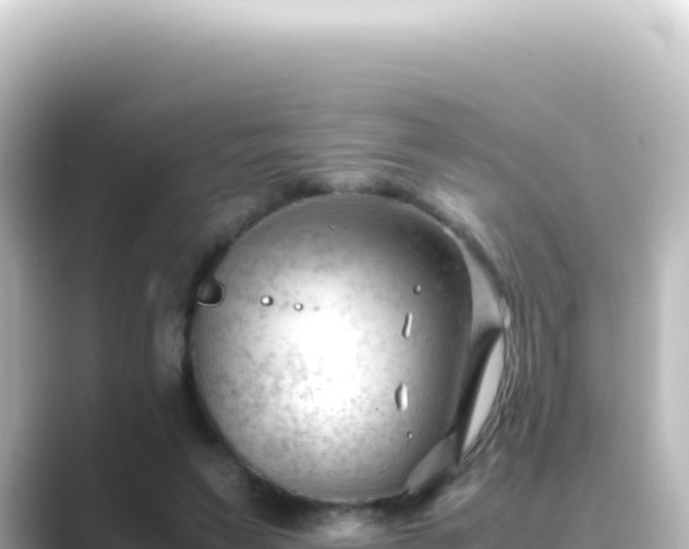X0000089450495200706221250