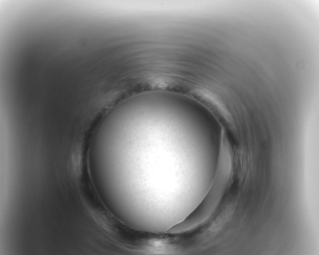 X0000089450496200706221250