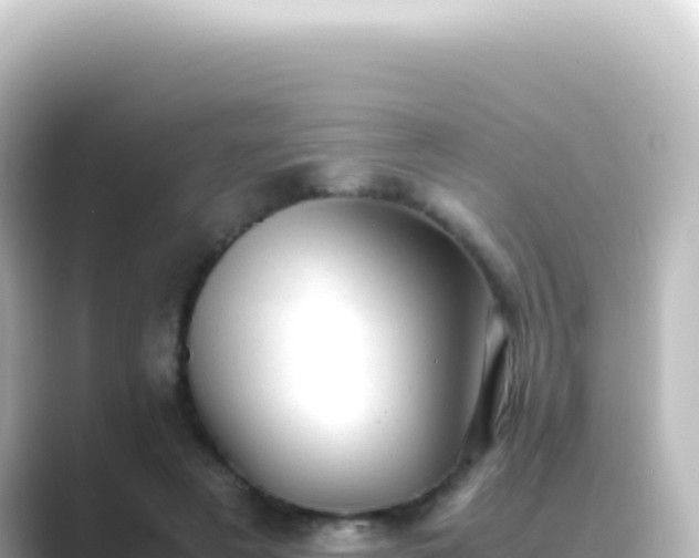 X0000089450497200706221249