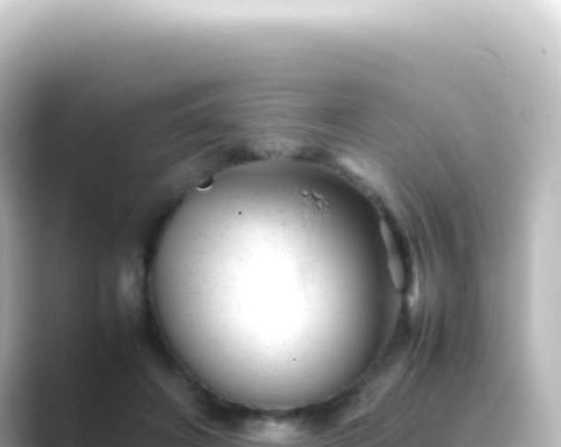 X0000089450498200706221249