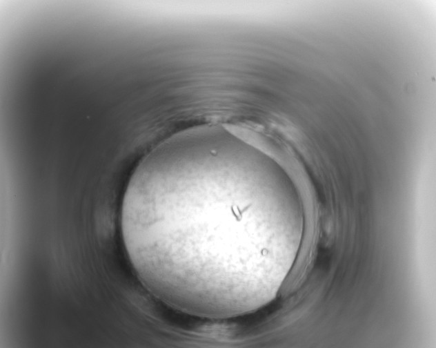 X0000089450499200706221249