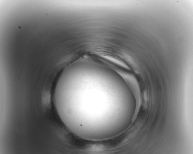 X0000089450500200706221249