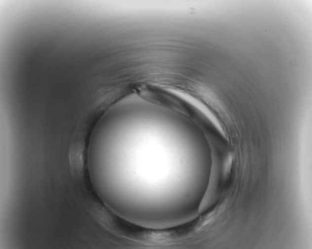 X0000089450501200706221249