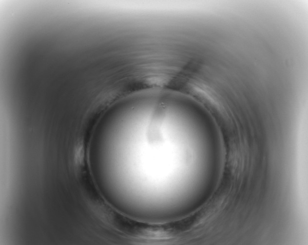 X0000089450502200706221249