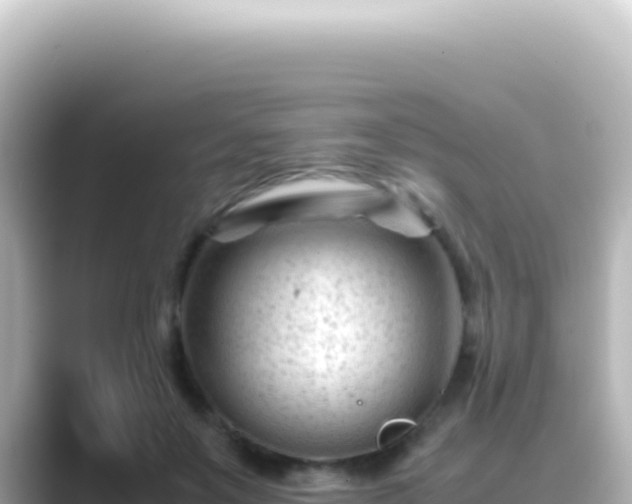 X0000089450503200706221249
