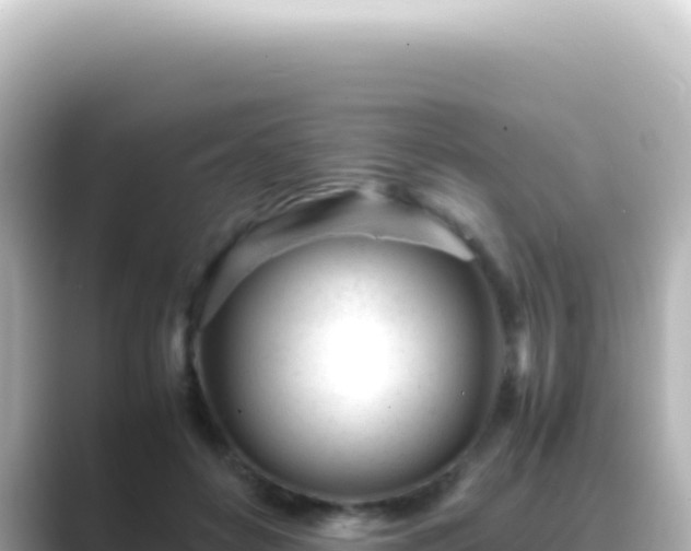 X0000089450504200706221249