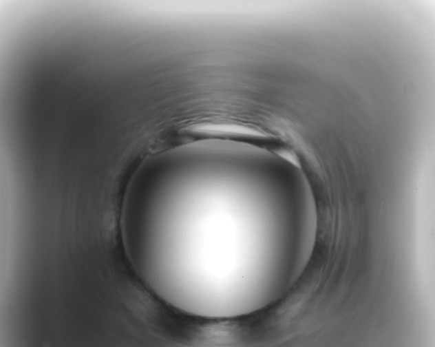 X0000089450505200706221249