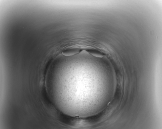X0000089450507200706221249