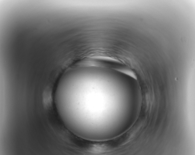 X0000089450508200706221249