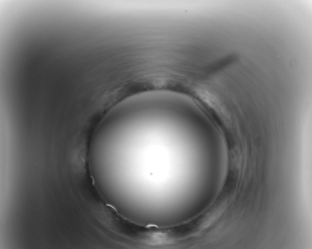 X0000089450509200706221249