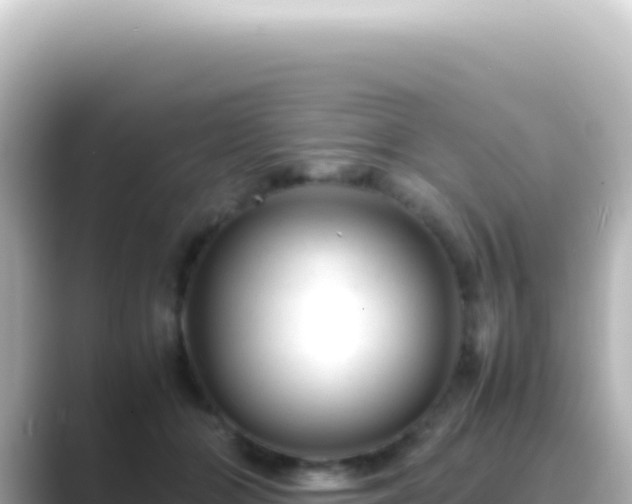 X0000089450510200706221249