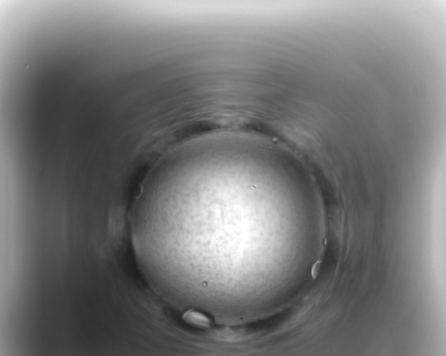 X0000089450511200706221249