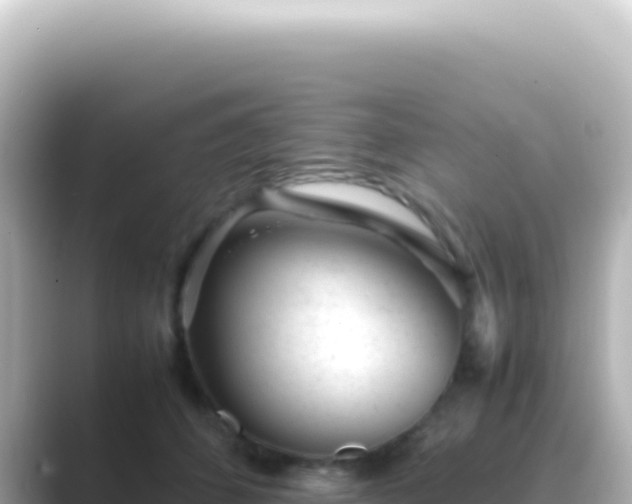 X0000089450512200706221249