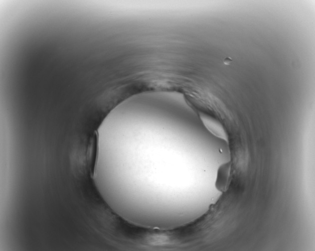 X0000089450513200706221249