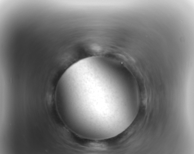 X0000089450515200706221249