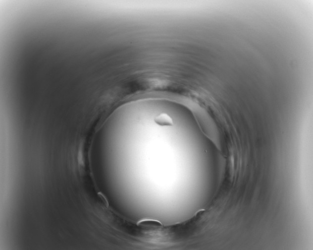 X0000089450516200706221249