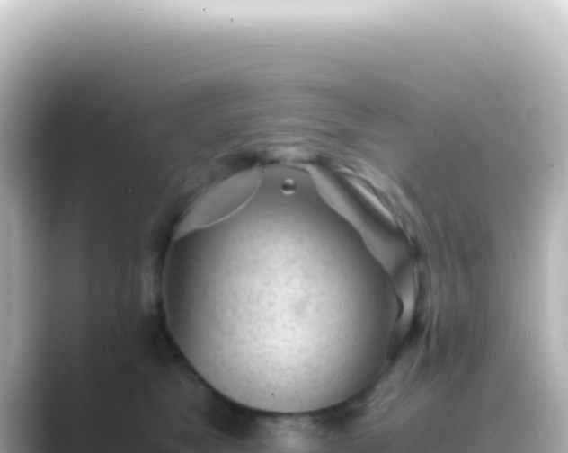 X0000089450517200706221249