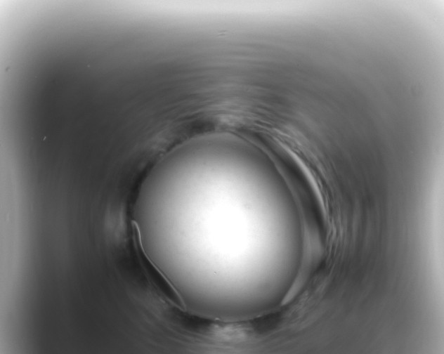 X0000089450520200706221249