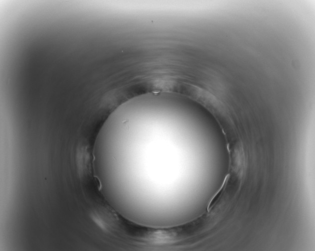 X0000089450522200706221249