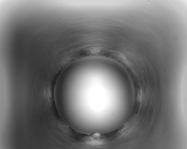 X0000089450524200706221249