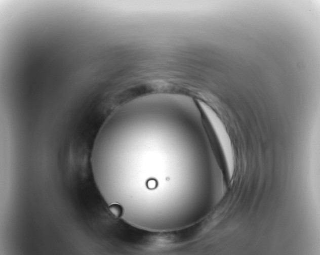 X0000089450525200706221249
