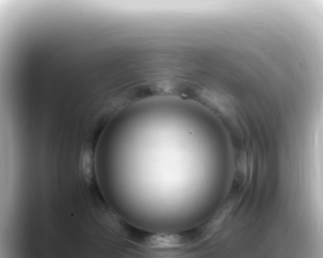 X0000089450526200706221249
