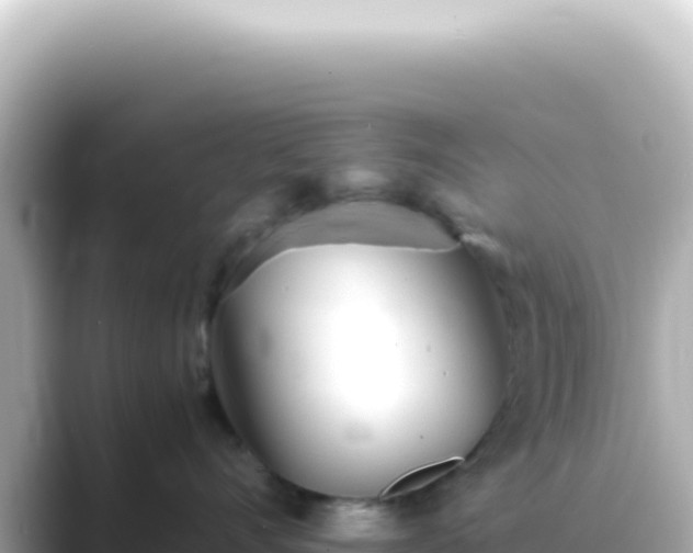 X0000089450528200706221249