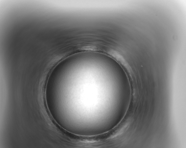 X0000089450529200706221249