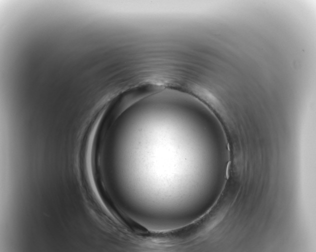 X0000089450530200706221249