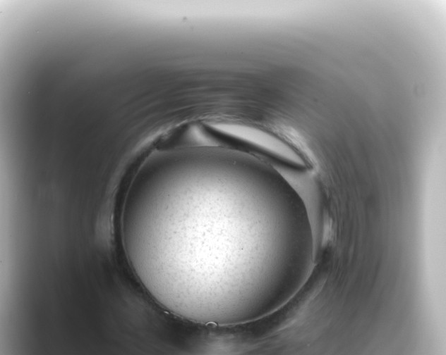 X0000089450531200706221249