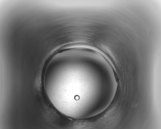 X0000089450532200706221249