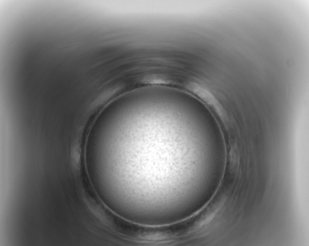 X0000089450533200706221249