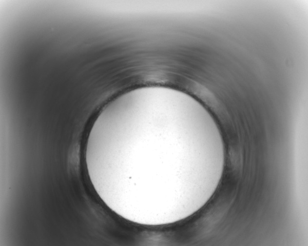X0000089450534200706221249