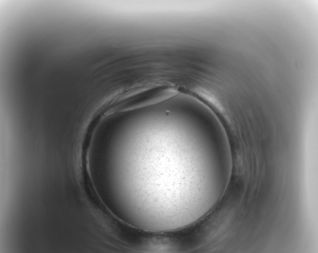 X0000089450535200706221249