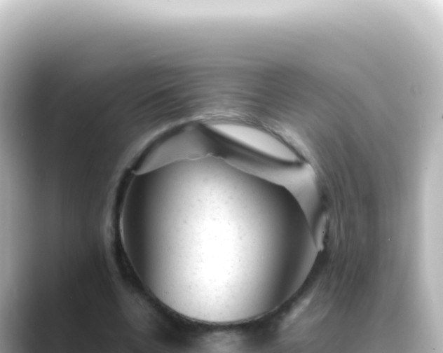 X0000089450536200706221249