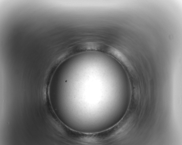 X0000089450537200706221249